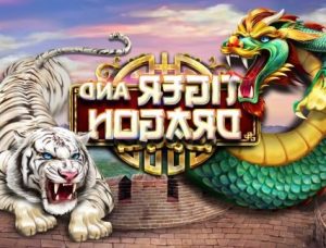 Main Casino Online Dragon Tiger